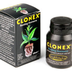 Clonex Root Gel